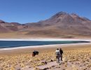 chili   op avontuur in patagonie en atacama woestijn ...  