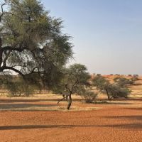 namibie   een parel in afrika   fotoverslag  